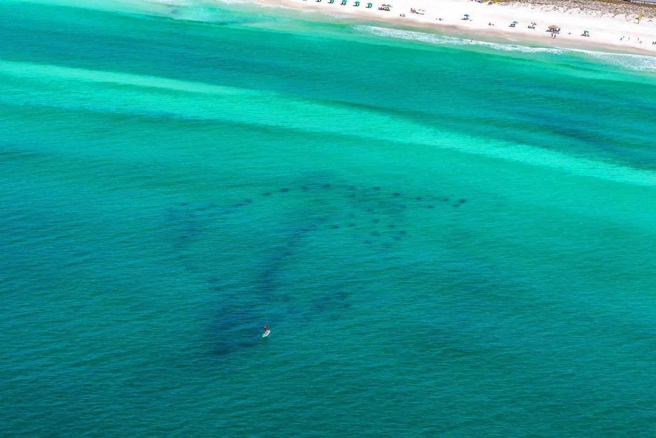 Apartmán Leeward Key 401 Destin